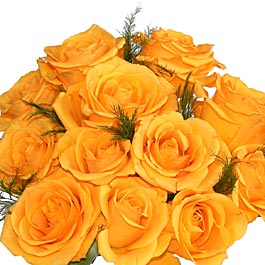 Yellow Roses